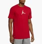 Футболка чоловіча Air Jordan Performance GFX Crew T-Shirt Red CZ8087-687