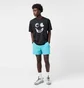 Шорты мужские Nike Acg & Reservoir Goat& Shorts Light Blue FN2472-345