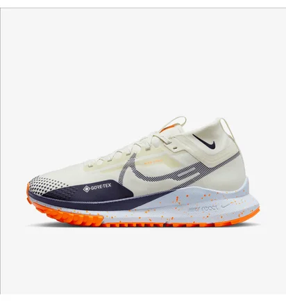 Кроссовки мужские Nike Pegasus Trail 4 Gore-Tex Beige DJ7926-004