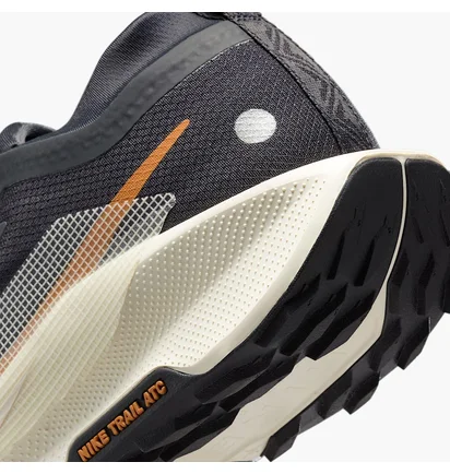 Кроссовки мужские Nike Pegasus Trail 5 Gore-Tex Black FQ0908-007