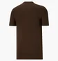 Футболка мужская Puma Outside The Box Logo Tee Brown 674615-62
