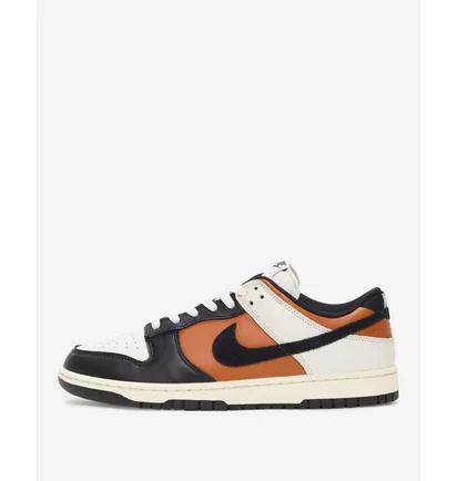Кроссовки мужские Nike Dunk Low Retro Multi HQ4988-030