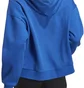 Худі жіноче Adidas Hooded Sweatshirt Tiro 23 C Co Hdw Blue IC4617