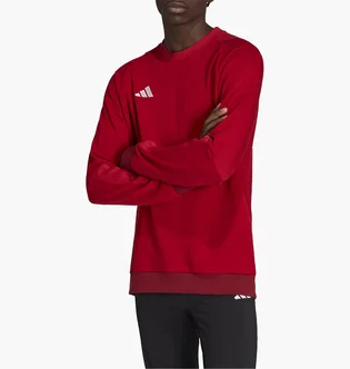Свитшот мужской Adidas Sweatshirt Tiro23 C Co Cre Red HI4709