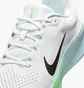 Кросівки чоловічі Nike Air Winflo 11 White FJ9509-112