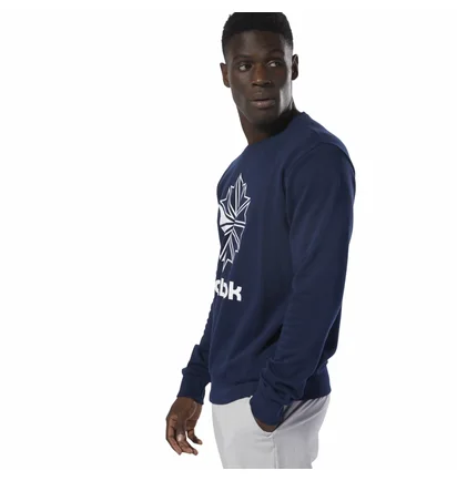 Свитшот мужской Reebok Classic Big Iconic Crewneck Sweatshirt Blue DT8121