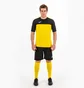 Футболка мужская Joma Winner Yellow 100946.901