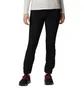 Штани жіночі Columbia Peak To Point Pant Black 1727601012
