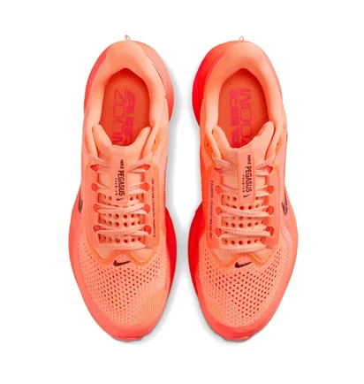 Кросівки жіночі Nike Pegasus Red HQ2593-802