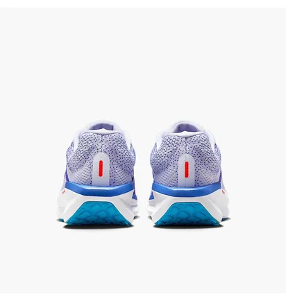 Кросівки чоловічі Nike Air Winflo 11 Light Blue FJ9509-006