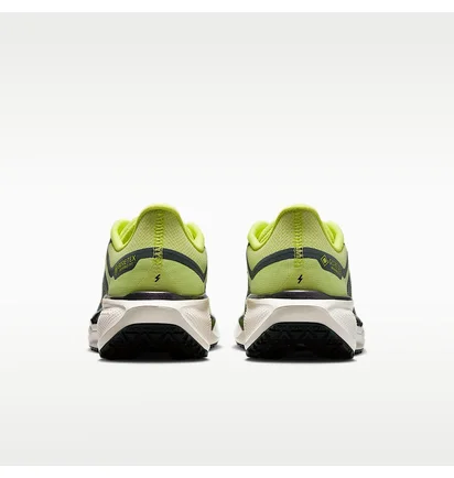 Кросівки жіночі Nike Pegasus 41 Gore Tex Green FQ1357-300