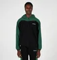 Толстовка чоловіча Pleasures Whiskey Green/Black P22F032-GREEN