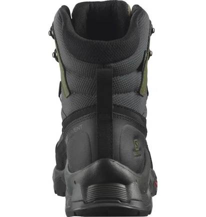 Кросівки чоловічі Salomon Quest Element Gtx Black 414571