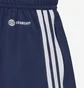 Шорти чоловічі Adidas Tiro 22 Shorts Blue HS7226