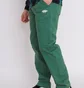 Штаны мужские Ripndip Barry Bonds Pants Green RND9723