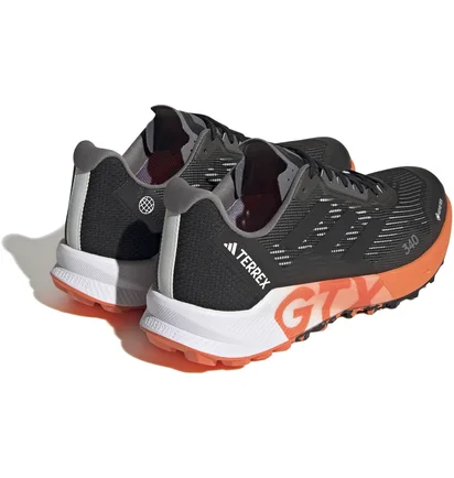 Кросівки чоловічі Adidas Terrex Agravic Flow 2 Gtx Black HR1110