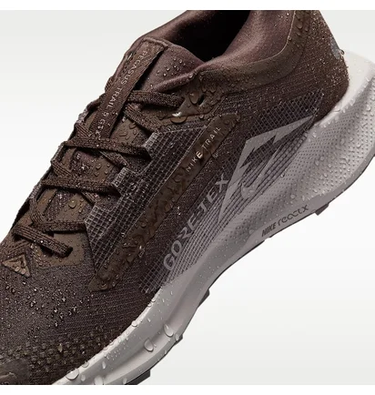 Кроссовки женские Nike Pegasus Trail 5 Brown FQ0912-012
