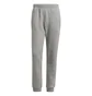 Штаны мужские Adidas Adicolor Essentials Trefoil Pants Grey H34659