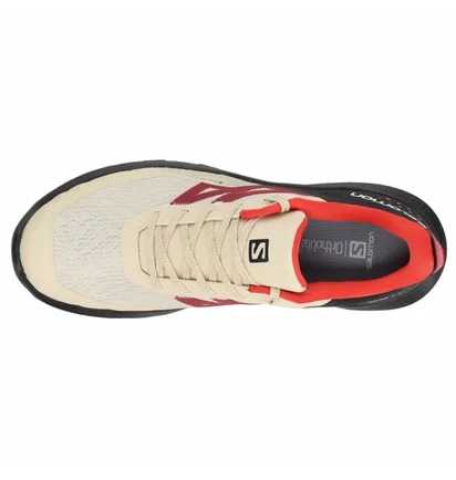 Кросівки чоловічі Salomon Outpulse Gtx Hiking Shoes Beige L41588100