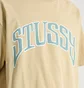 Футболка чоловіча stussy Arched Pig Beige 1905085-2727