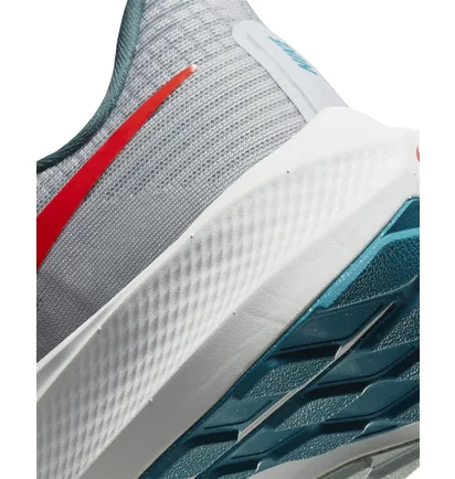 Кросівки чоловічі Nike Air Zoom Pegasus 39 Grey Dh4071-003