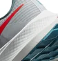 Кросівки чоловічі Nike Air Zoom Pegasus 39 Grey Dh4071-003