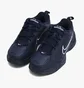 Кросівки чоловічі Nike Air Monarch Iv Amp Workout Shoes Blue FB7143-403
