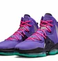 Кроссовки унисекс Nike Lebron Xix Dj Bron Violet Cz0203-500