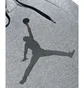 Худи мужское Air Jordan M J Jumplogo Flc Po Grey AV3145-091