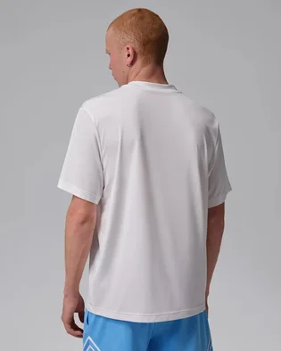 Футболка мужская Air Jordan Essentials Dri-Fit Grey IF0882-100