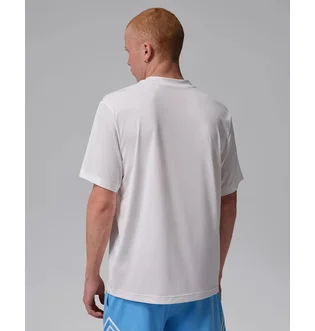 Футболка мужская Air Jordan Essentials Dri-Fit Grey IF0882-100