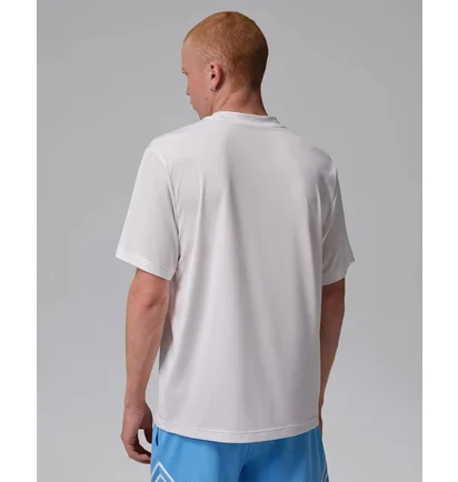 Футболка мужская Air Jordan Essentials Dri-Fit Grey IF0882-100