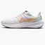 Кроссовки женские Nike Pegasus 39 White Dh4072-104