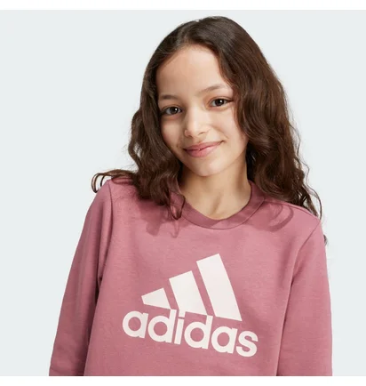 Світшот дитячий Adidas Essentials Big Logo Violet IZ3434