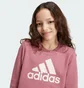 Світшот дитячий Adidas Essentials Big Logo Violet IZ3434