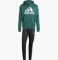 Спортивний костюм чоловічий Adidas French Terry Hooded Green/Black IP3115