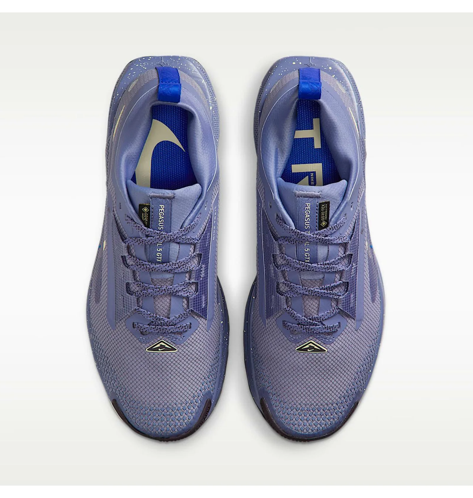 ᐉ Кроссовки женские Nike W Pegasus Trail 5 Gtx Blue FQ0912-402