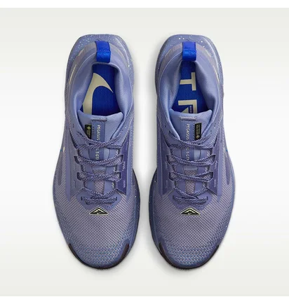 Кроссовки женские Nike W Pegasus Trail 5 Gtx Blue FQ0912-402