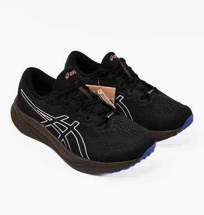 Кросівки чоловічі Asics Gel-Pulse 15 Gtx Black 1011B781-003