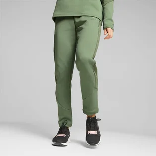 Штаны женские Puma Evostripe Green 676075-44