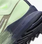 Кроссовки мужские Nike Pegasus Trail 4 Gore-Tex Green DJ7926-303