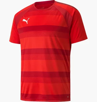 Футболка мужская Puma Teamvision Jersey Red 704921-01