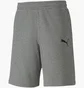 Шорты мужские Puma Teamgoal 23 Casuals Shorts Grey 65658133