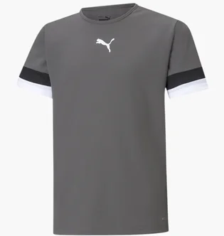 Футболка детская Puma Teamrise Jersey Grey 704938-13