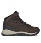 Ботинки женские Columbia Newton Ridge Plus Brown 1424692231