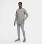 Свитшот мужской Nike Therma Grey CU7271-063
