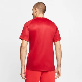 Футболка мужская Nike Breathe Stadium Red CD0734-687