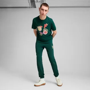 Футболка мужская Puma Sports Legacy Front Graphic Green 629627-60