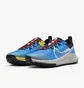 Кросівки чоловічі Nike Pegasus Trail 4 Light Blue DJ6158-401