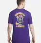 Футболка мужская Nike Dri-Fit Training T-Shirt Violet FD0138-547